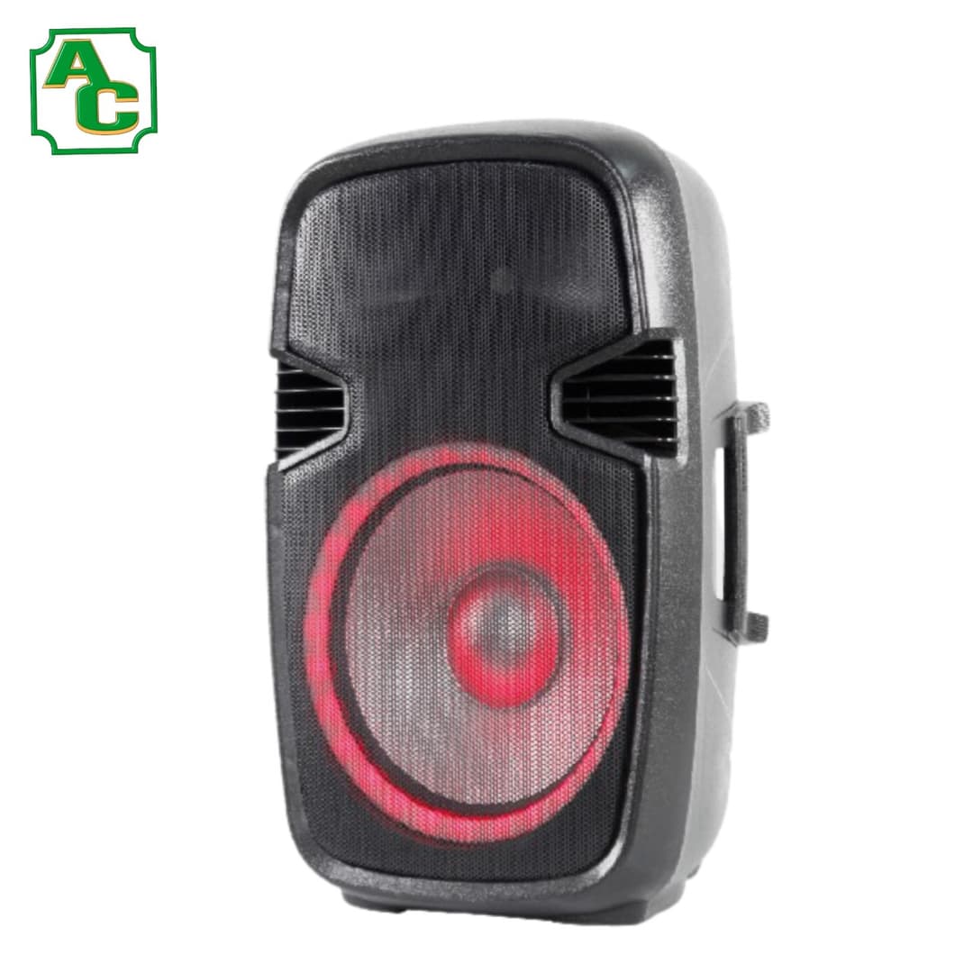 PARLANTE AMPLIFICADO ITALY AUDIO LED II - Compra en Grelive
